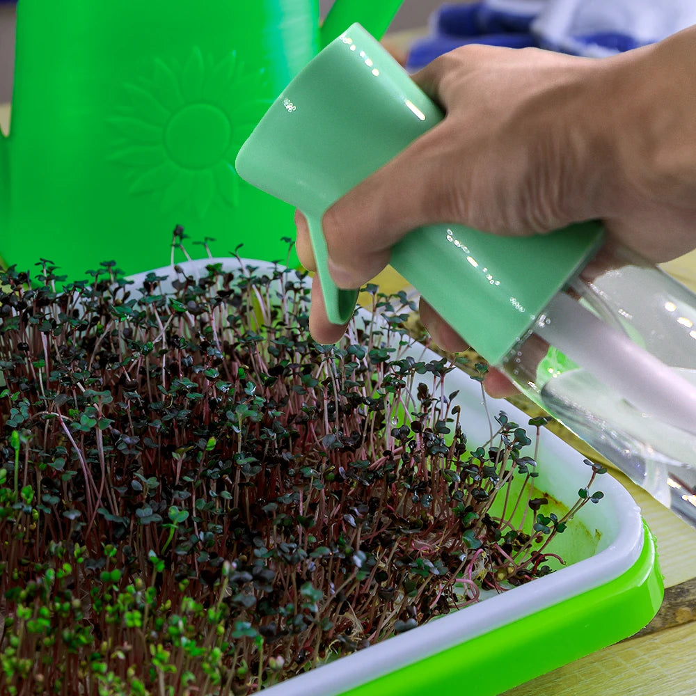 1/3/5 pcs Green Seedling Tray Germination Box Humidity Transparent Cover Greenhouse Indoor Garden Potted Seedlings Growth Tool