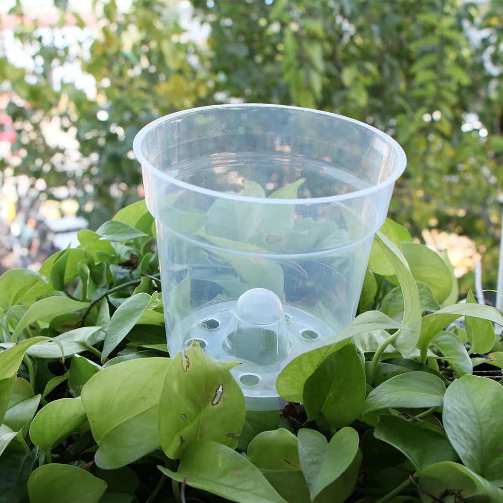 5/10pcs Round Seed Starter Tray Transparent Planter Nursery Pots with Drainage Hole for Orchid Plants Herb Flowers Garden Tools