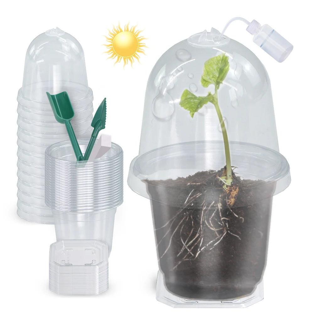 A set of Visible Clear Plants Germination Cup Transparent Plastic Nursery Growing Box Indoor Garden Greenhouse Seed Starter Tray