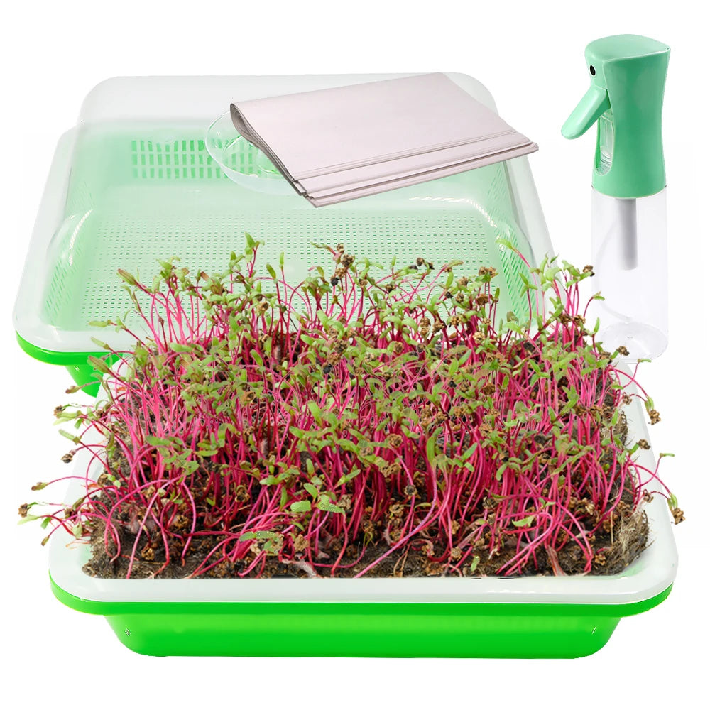 1/3/5 pcs Green Seedling Tray Germination Box Humidity Transparent Cover Greenhouse Indoor Garden Potted Seedlings Growth Tool