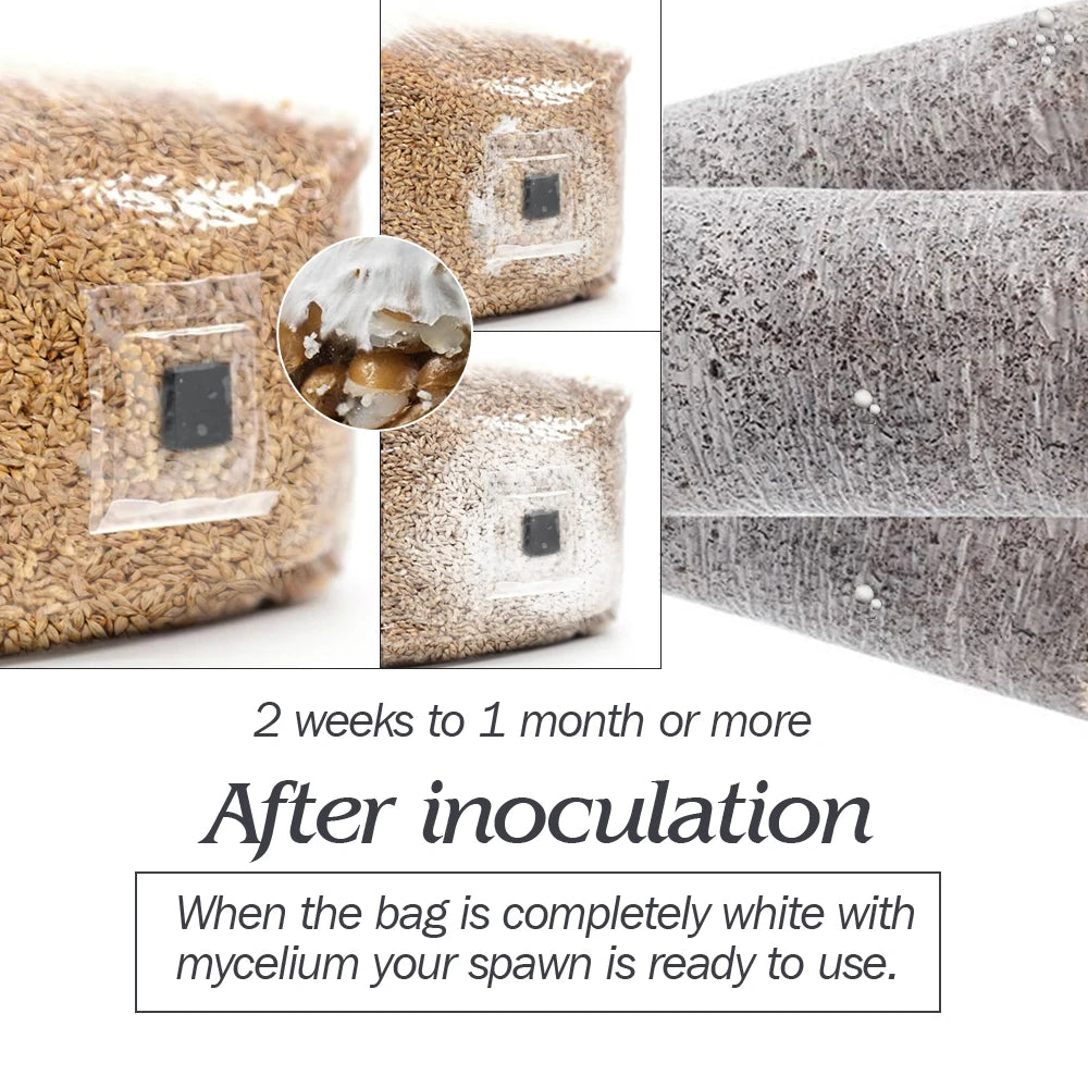 10pcs PP Sterilized Hydrated Grain Bag w/Self-Healing Injection Port 0.2μm Filter Patch Autoclaving Substrate Mushroom Spawn Bag