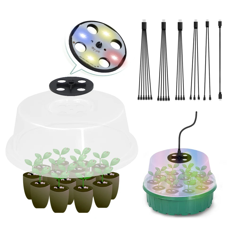 Red Blue White Greenhouse Germination Led Plant Lamps Beads Grow Lights Full Spectrum Purple Lighting for Seed Starter Tray Kit