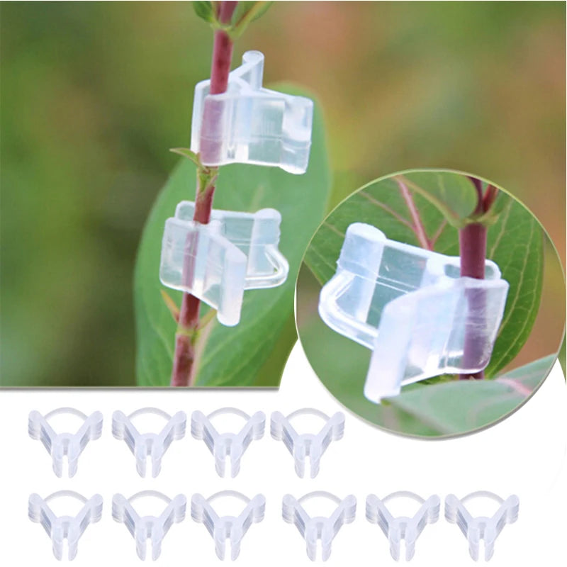 25-100PCS Plant Grafting Clip Plastic Gardening Tool For Cucumber Eggplant Watermelon, Round Mouth Flat Mouth Anti-fall Clamp
