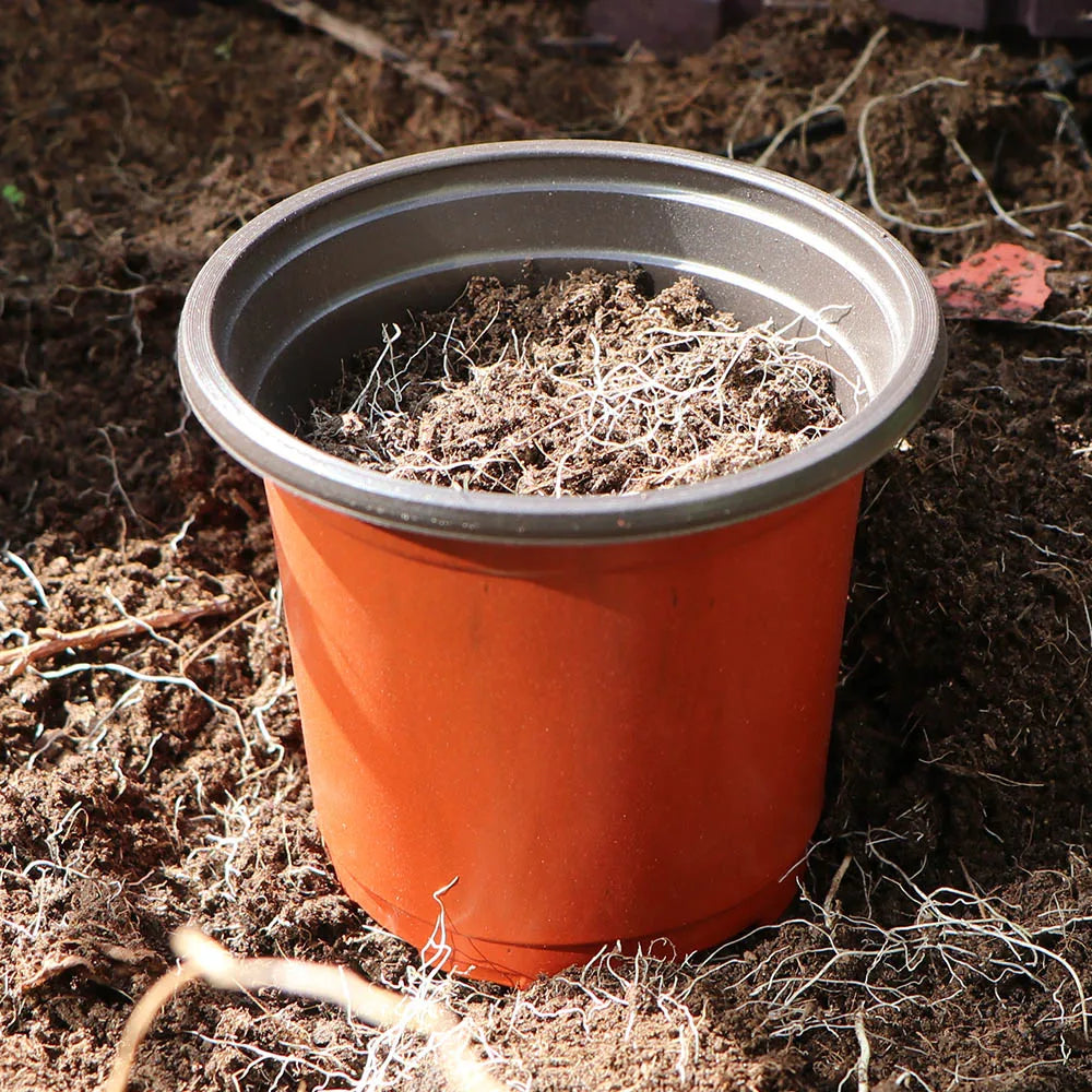 Garden Plant Pot Flowerpots Nursery Seed Starting Lightweight Breathable Maintain Humidity Flower Vegetable in 6 sizes Container