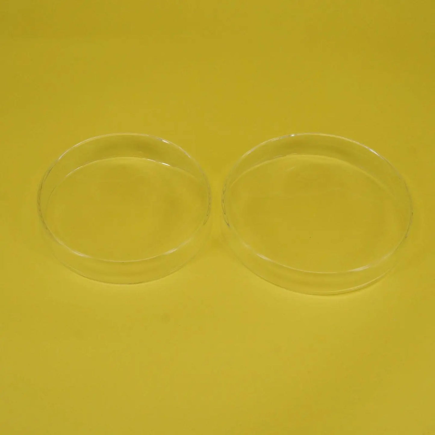 60mm Borosilicate Glass Reusable Tissue Petri Culture Dish Plate With Cover For Chemistry Laboratory - KiwisLove