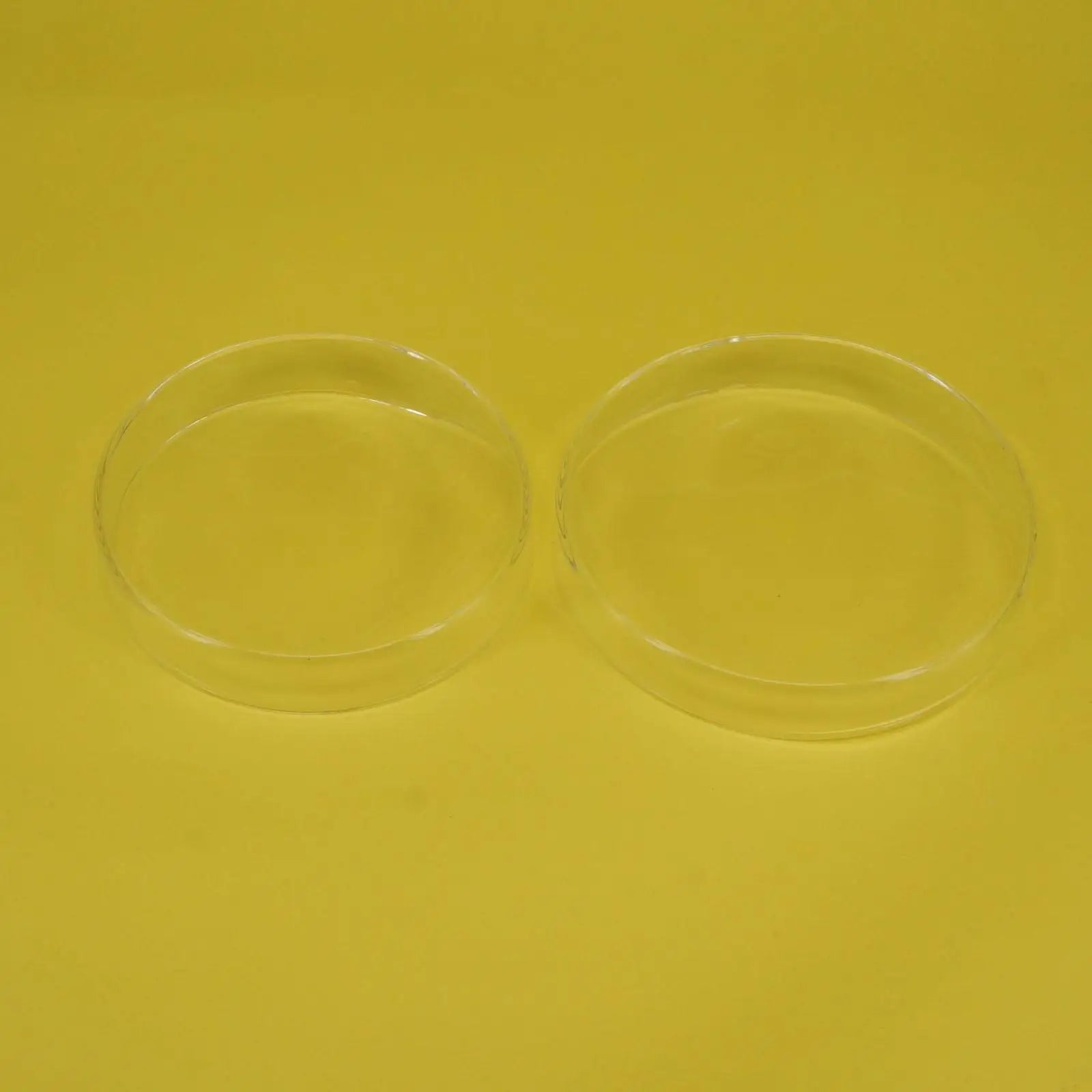 60mm Borosilicate Glass Reusable Tissue Petri Culture Dish Plate With Cover For Chemistry Laboratory - KiwisLove
