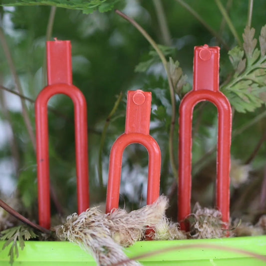 50PCS Greenhouses Strawberry Planting Fixing Clips Climbing Support Garden Stem Fork Watermelon Fastening Fixture Clamp Vine Hol