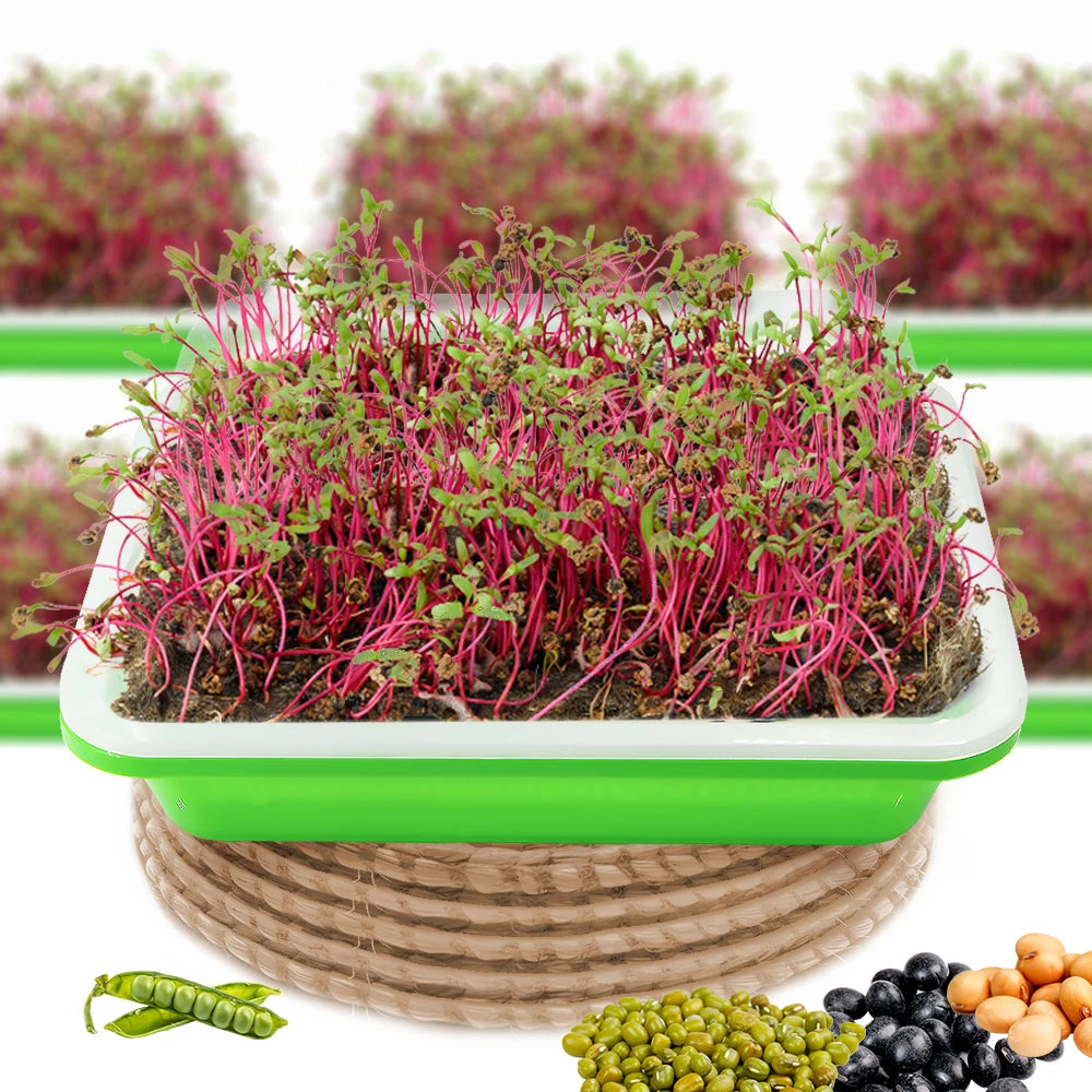 1/3/5 pcs Green Seedling Tray Germination Box Humidity Transparent Cover Greenhouse Indoor Garden Potted Seedlings Growth Tool
