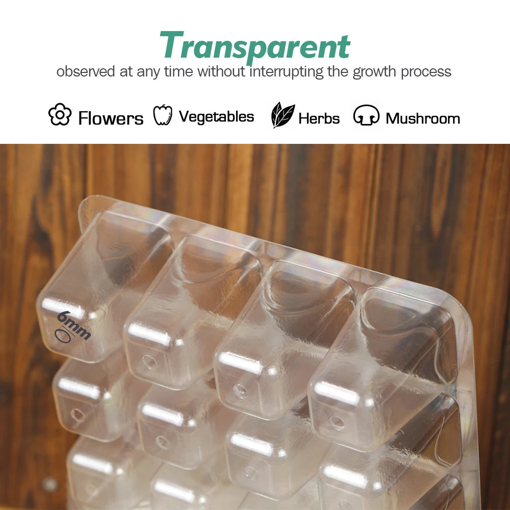 5/10pcs 12-Cell Transparent Seedling Starting Tray Gardening Nursery Grow Germination Plastic Seed Starter Tray Plant  Grow Cont