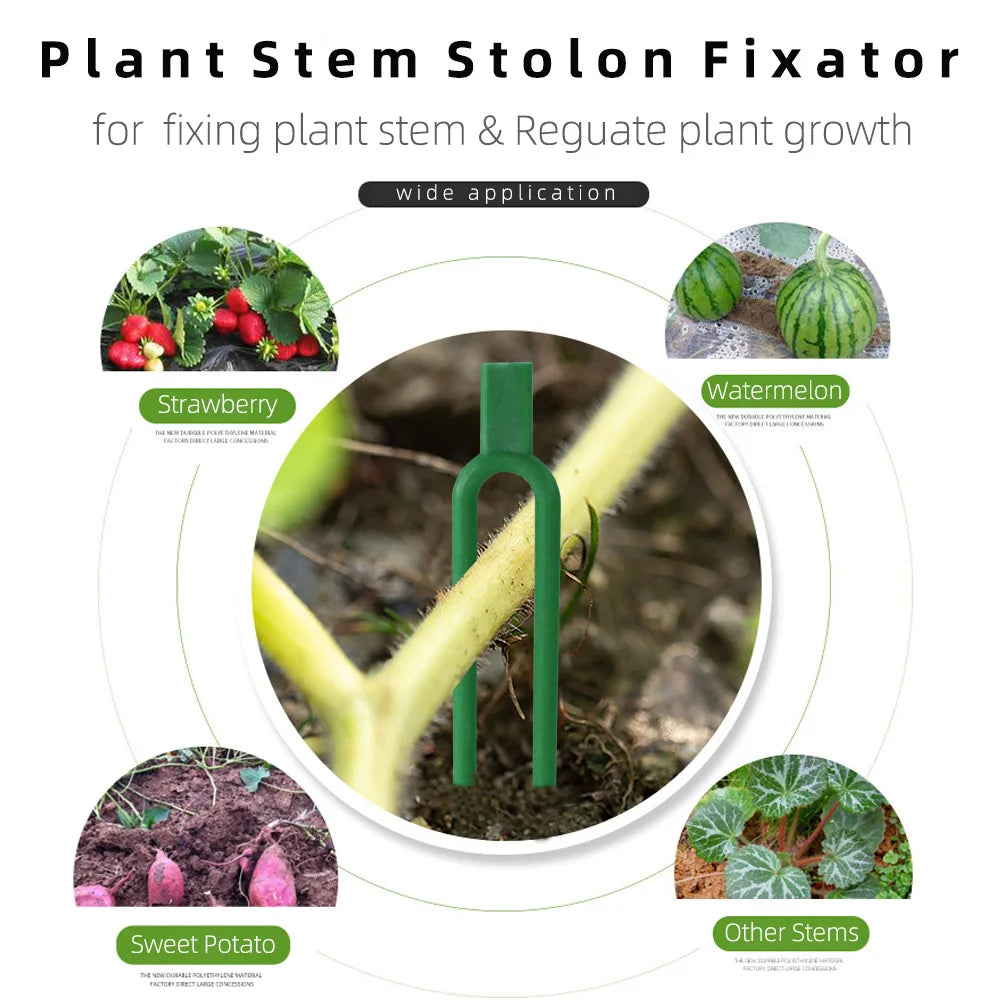 50PCS Strawberry Garden Plants Fastening Fixture Clamp Clips Planting Fork Green Stolon Fixator Watermelon Vine Pressing Tool