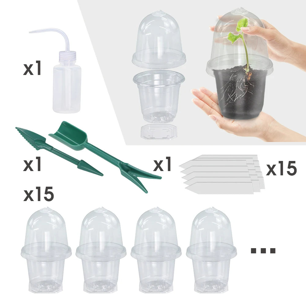 A set of Visible Clear Plants Germination Cup Transparent Plastic Nursery Growing Box Indoor Garden Greenhouse Seed Starter Tray
