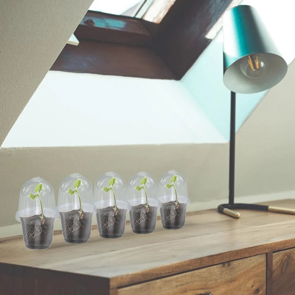 A set of Visible Clear Plants Germination Cup Transparent Plastic Nursery Growing Box Indoor Garden Greenhouse Seed Starter Tray