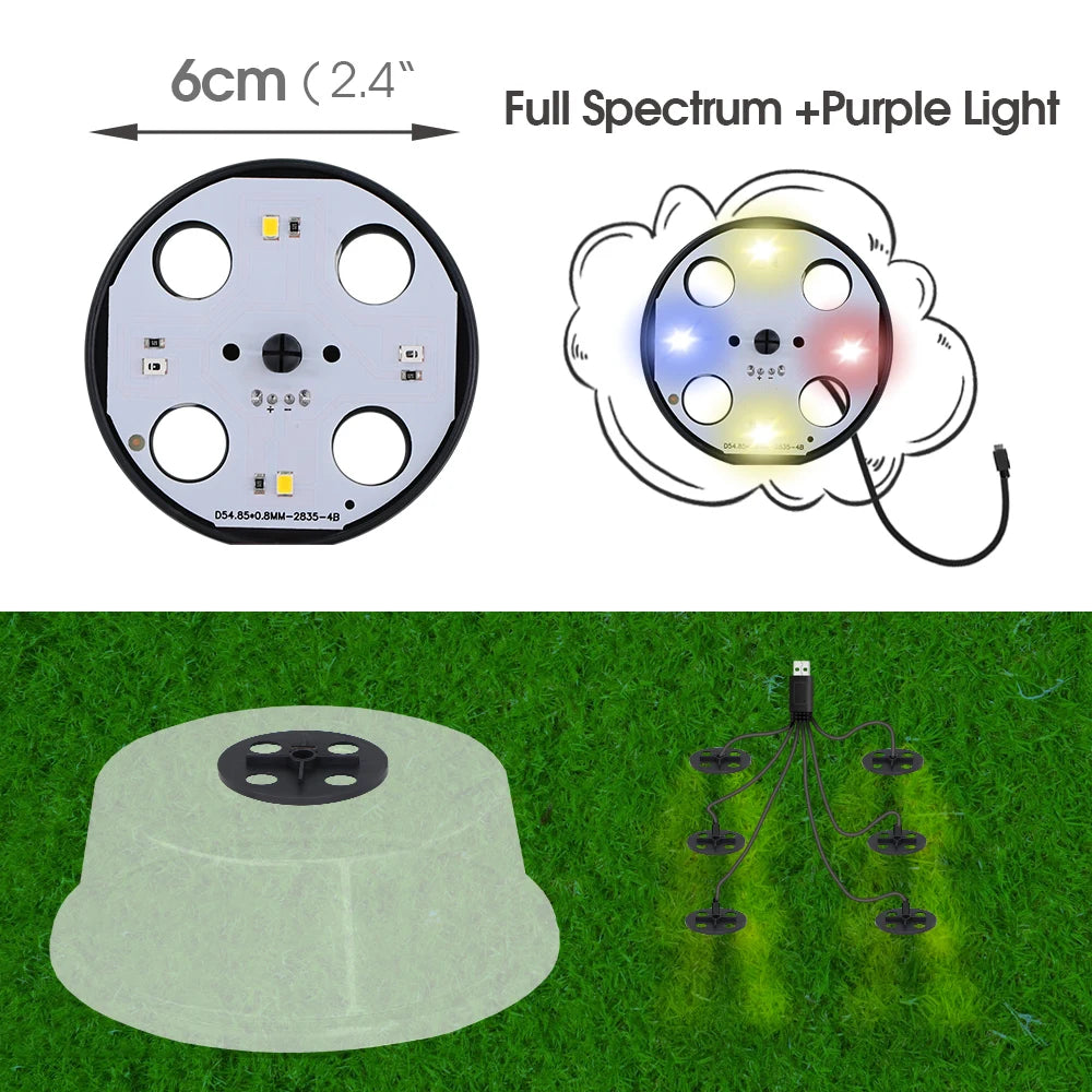 Red Blue White Greenhouse Germination Led Plant Lamps Beads Grow Lights Full Spectrum Purple Lighting for Seed Starter Tray Kit