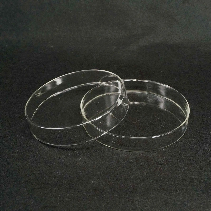 45559124558082