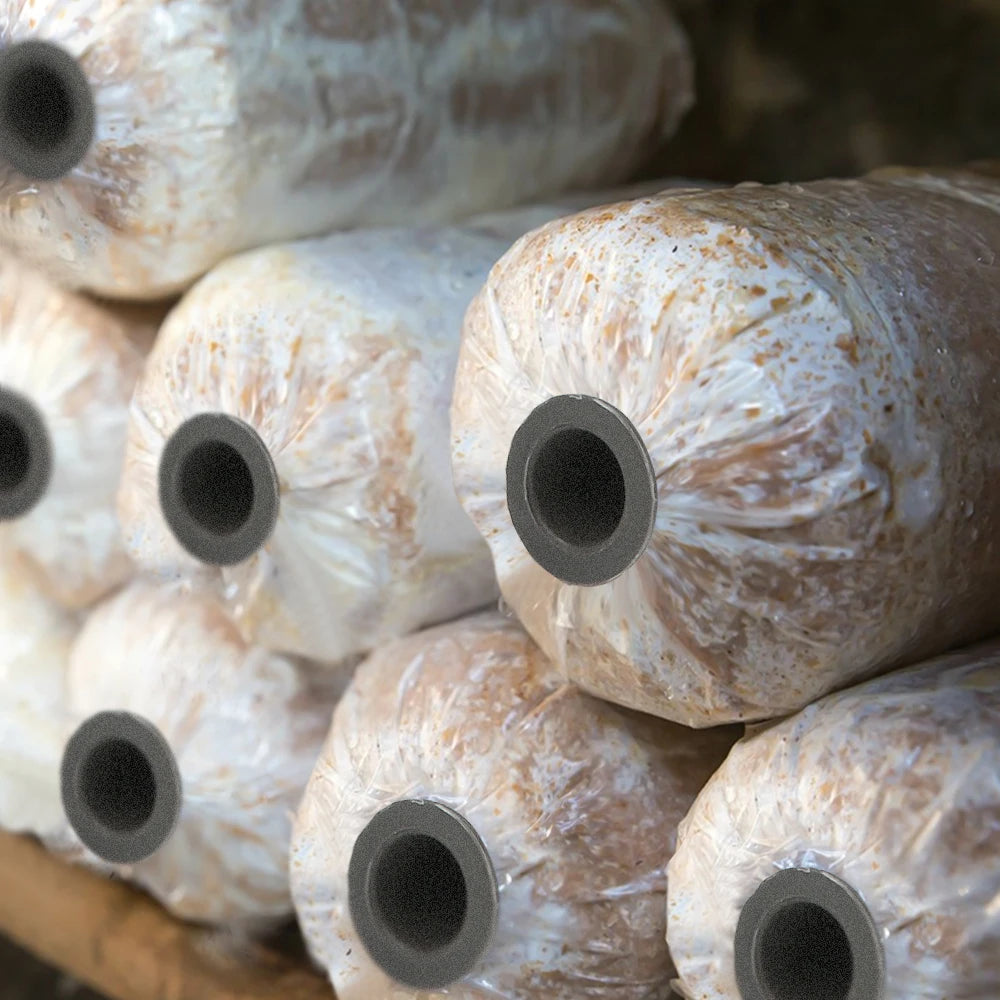 Greenhouses Reusable Inoculation Sticks for Mushroom Plastic Convex Edge Mushroom Punch Pole Cultivation Tools Edible Fungi Inoc