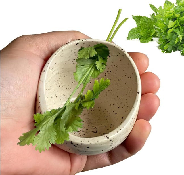 NZ Stock Pottery Herb Stripper Bowl – Portable Leaf Remover Kitchen Gadget