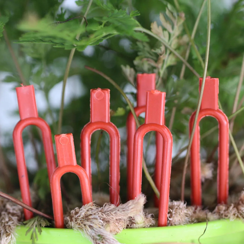 50PCS Greenhouses Strawberry Planting Fixing Clips Climbing Support Garden Stem Fork Watermelon Fastening Fixture Clamp Vine Hol