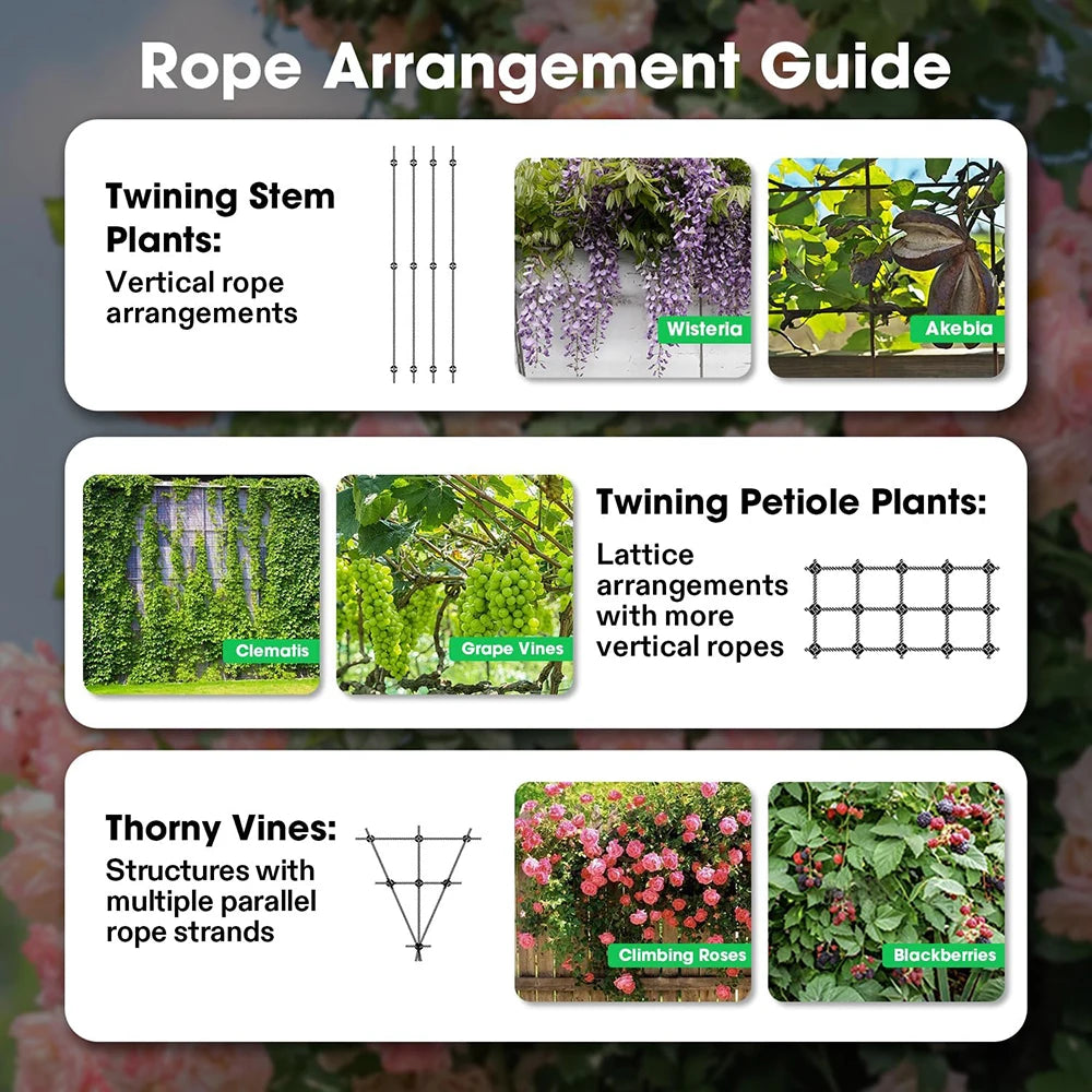 10 PCS Wall Wire Trellis Kit for Climbing Plants Outdoor 16Meter Wire Ropes 50ft Stainless Steel Hubs Green Wall Cable System