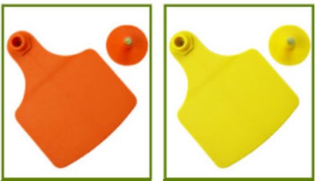 50PCS Cow  Ear Signs Large Cattle Ear Tag Large - KiwisLove