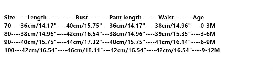 Baby Girls  Long Sleeve +  Pants 2 pcs set - KiwisLove