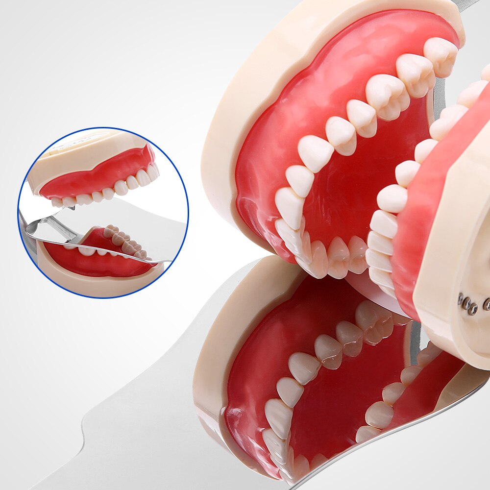 Dental Automatic Anti-fog Mirrors for oral photography Reflector Glass Defog mirrors Orthodontic for Buccal occlusal Lingual - KiwisLove