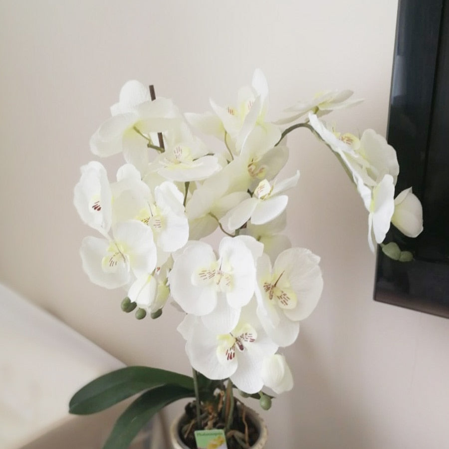 Artificial Silk White Orchid Flowers High Quality Butterfly Moth Phalaenopsis Fake Flower for Wedding Home Festival Decoration - KiwisLove