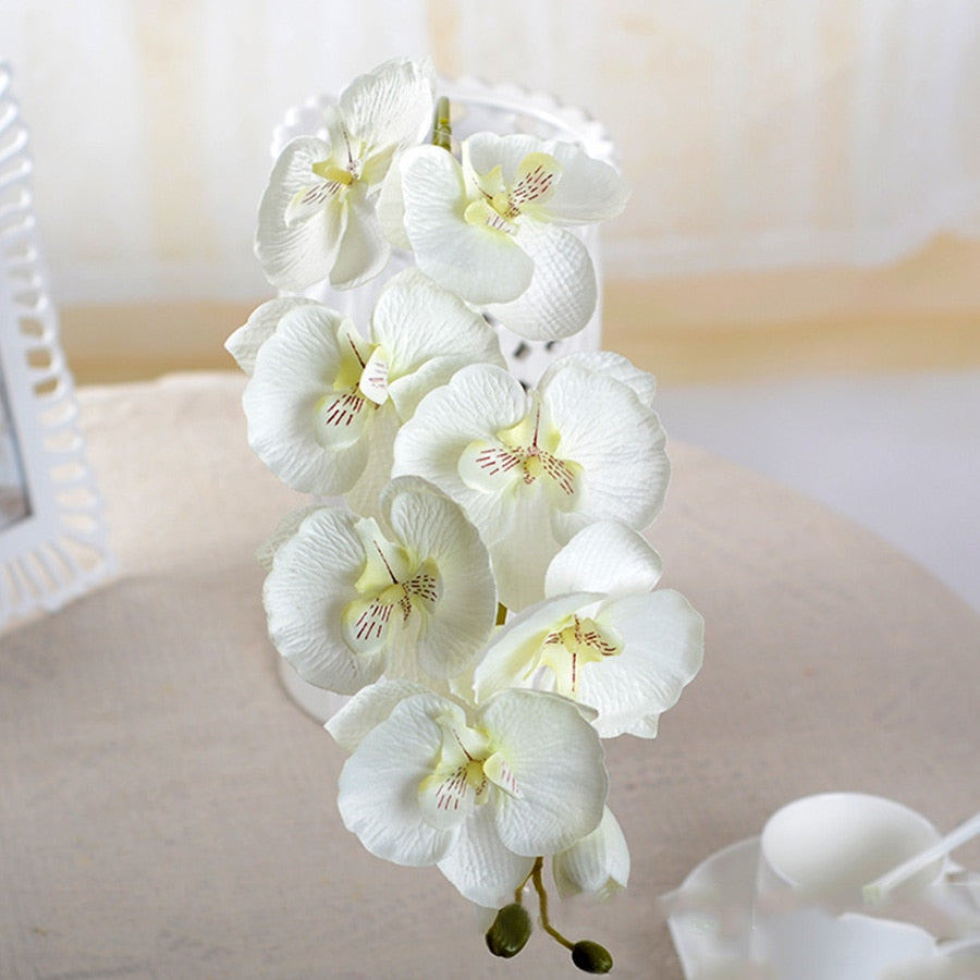 Artificial Silk White Orchid Flowers High Quality Butterfly Moth Phalaenopsis Fake Flower for Wedding Home Festival Decoration - KiwisLove