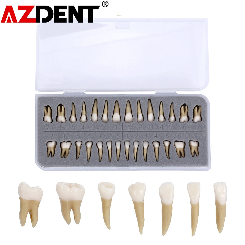 |<none>|4000804739559