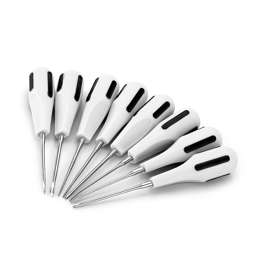 8pcs/Set Stainless Steel Dental Luxating Lift Curved Root Elevator Dentistry Surgical Screwdriver - KiwisLove