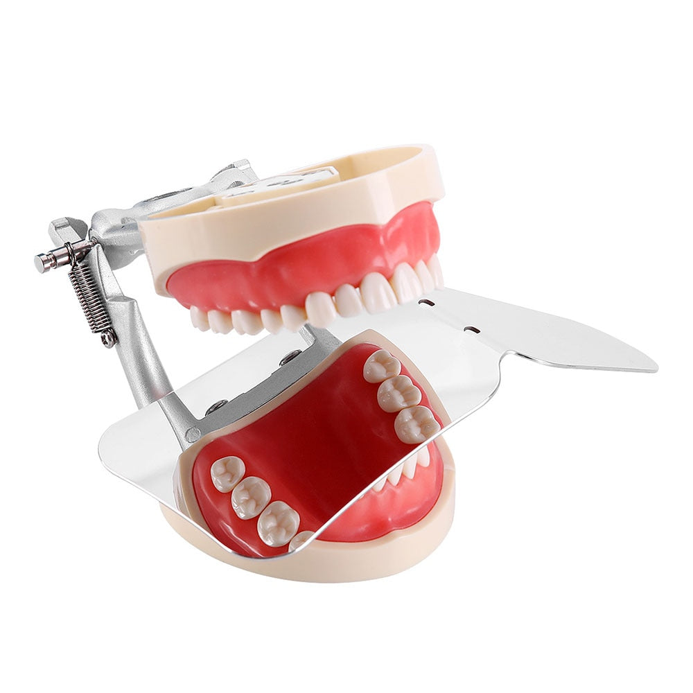 1pc Azdent  Dental Stainless Steel Photography Mirrors Autoclavable Intra-Oral Orthodontic Reflector - KiwisLove