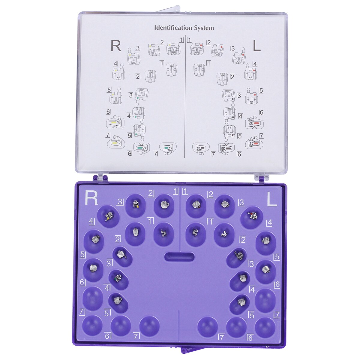 Dental Orthodontic Roth Self-Ligating Brackets MBT.022 Hook 3 Stainless Steel Brace - KiwisLove