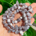 Natural Shell Beads Colorful Irregular Mop Mother of Pearl Loose Spacer Beads for Jewelry Making DIY Charm Bracelet Necklace - KiwisLove