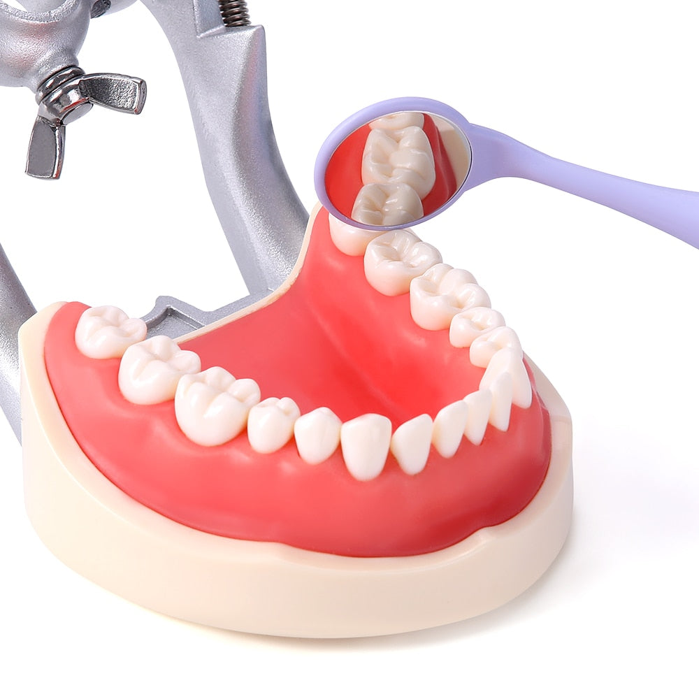 10pcs/Box With Random Colors Dental Double Sided Mouth Mirrors With Handle - KiwisLove