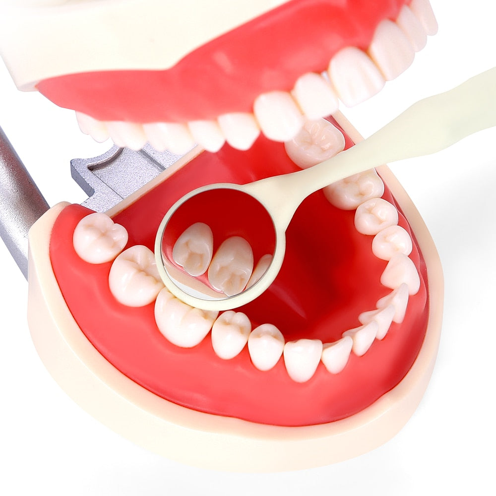 10pcs/Box With Random Colors Dental Double Sided Mouth Mirrors With Handle - KiwisLove