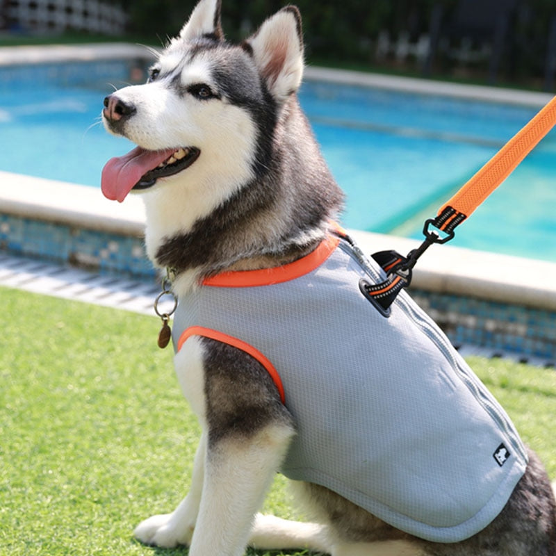 Truelove  dog summer clothes cooling vest jacket reflective vest  mesh harness - KiwisLove