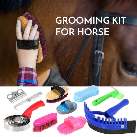 10-IN-1 Horse Grooming Tool Set Bathing Cleaning random color - KiwisLove