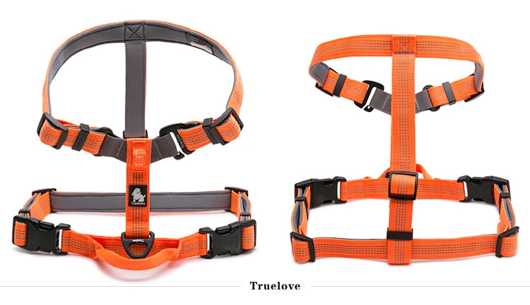 Truelove Dog Harness Adjustable Reflective Nylon with Collar Leash LED Light Neoprene Padded Hiking Running TLH6171 Dropshipping - KiwisLove