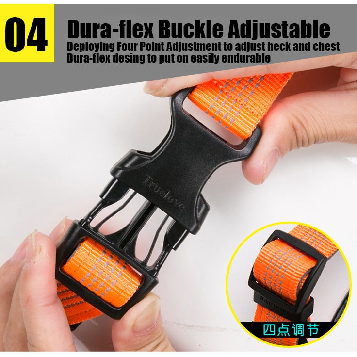 Truelove Pet Harness Adjustable Reflective Nylon with Collar Leash LED Light  TLH6171 - KiwisLove