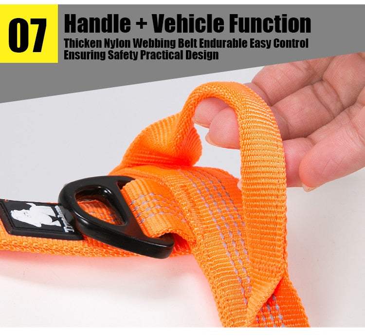 Truelove Pet Harness Adjustable Reflective Nylon with Collar Leash LED Light  TLH6171 - KiwisLove