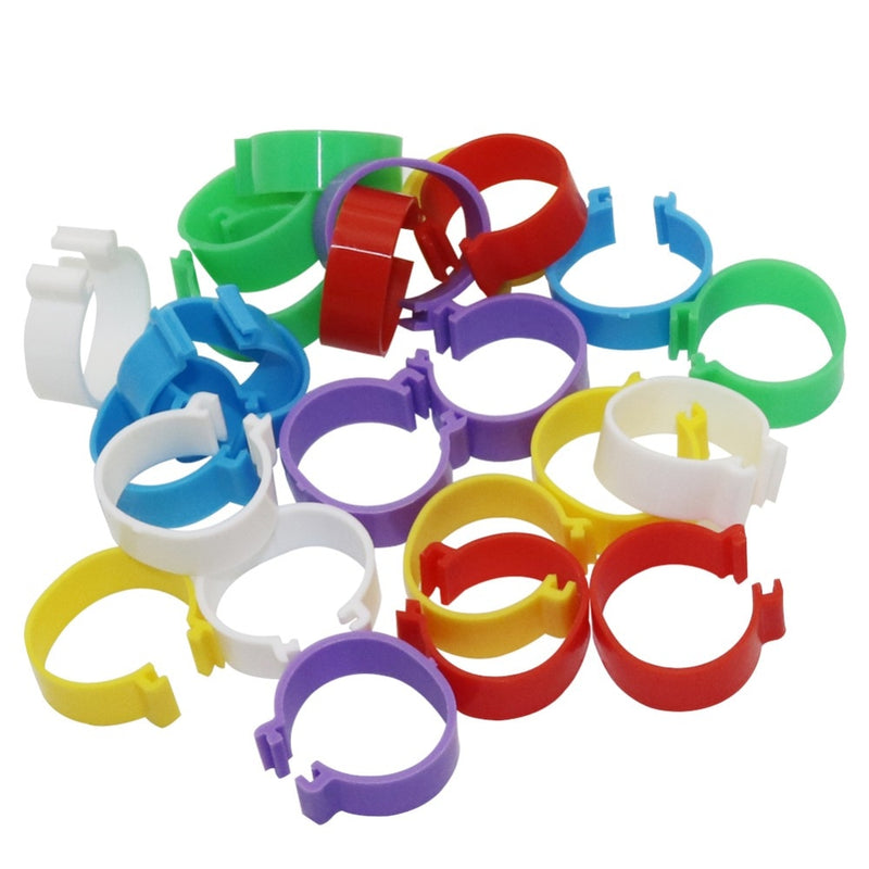 30 pcs Poultry foot ring chicken duck Goose birds Feeding supplies - KiwisLove