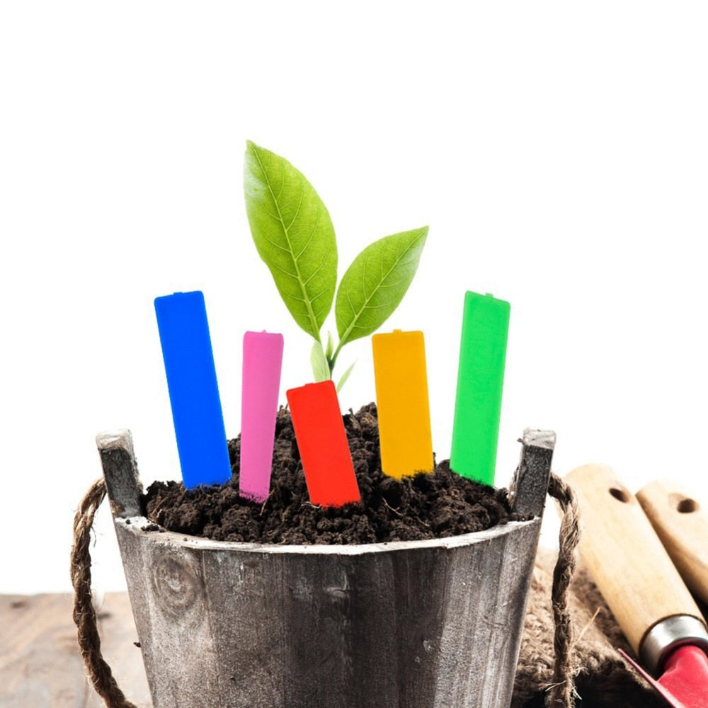 100Pcs Garden Plant Labels Plastic Plant Tags Nursery Markers - KiwisLove