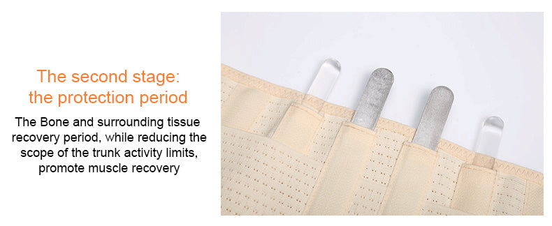 OPER Lumbar Support High Elastic Breathable Mesh - KiwisLove