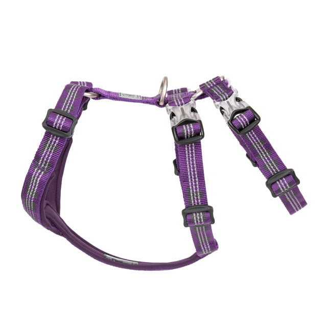 Truelove Best Double H Trail Runner No-Pull Dog Harness 3M Reflective with Premium Materials. Small, Medium, Large Dogs YH1804 - KiwisLove