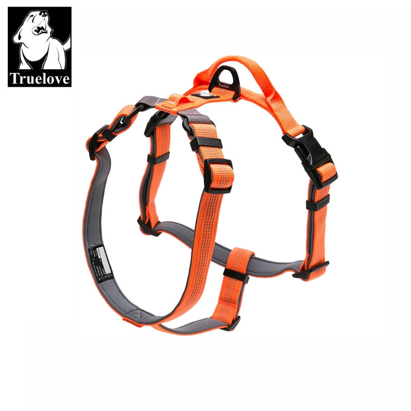 Truelove Dog Harness Adjustable Reflective Nylon with Collar Leash LED Light Neoprene Padded Hiking Running TLH6171 Dropshipping - KiwisLove