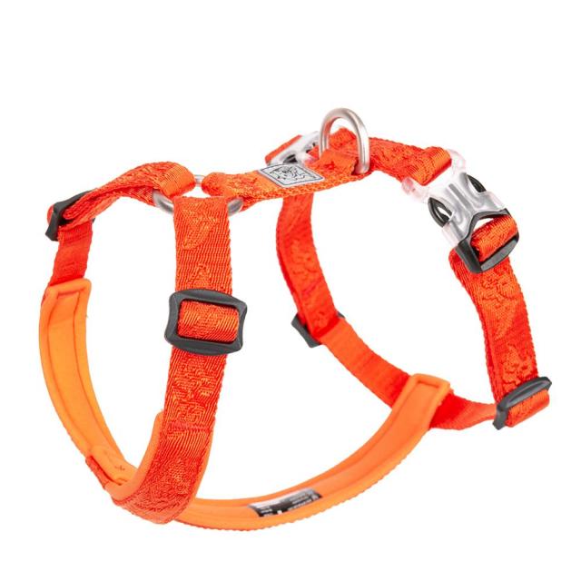 TRUELOVE Best Trail Runner No-Pull Dog Harness with Premium Materials YH1801 - KiwisLove