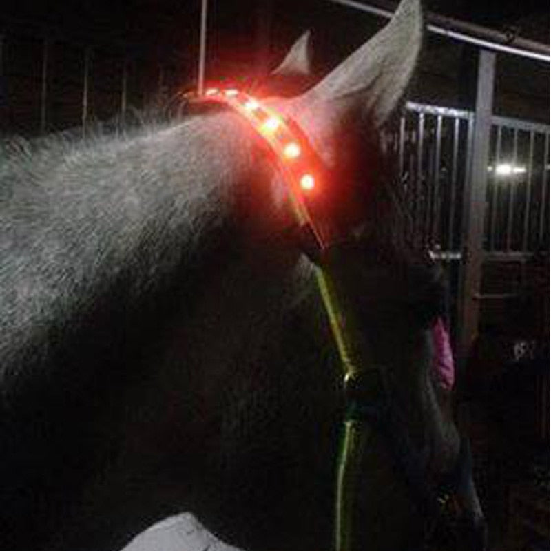 LED Horse Riding Head Harness Lighting Luminous Tubes Straps Saddle Halters - KiwisLove