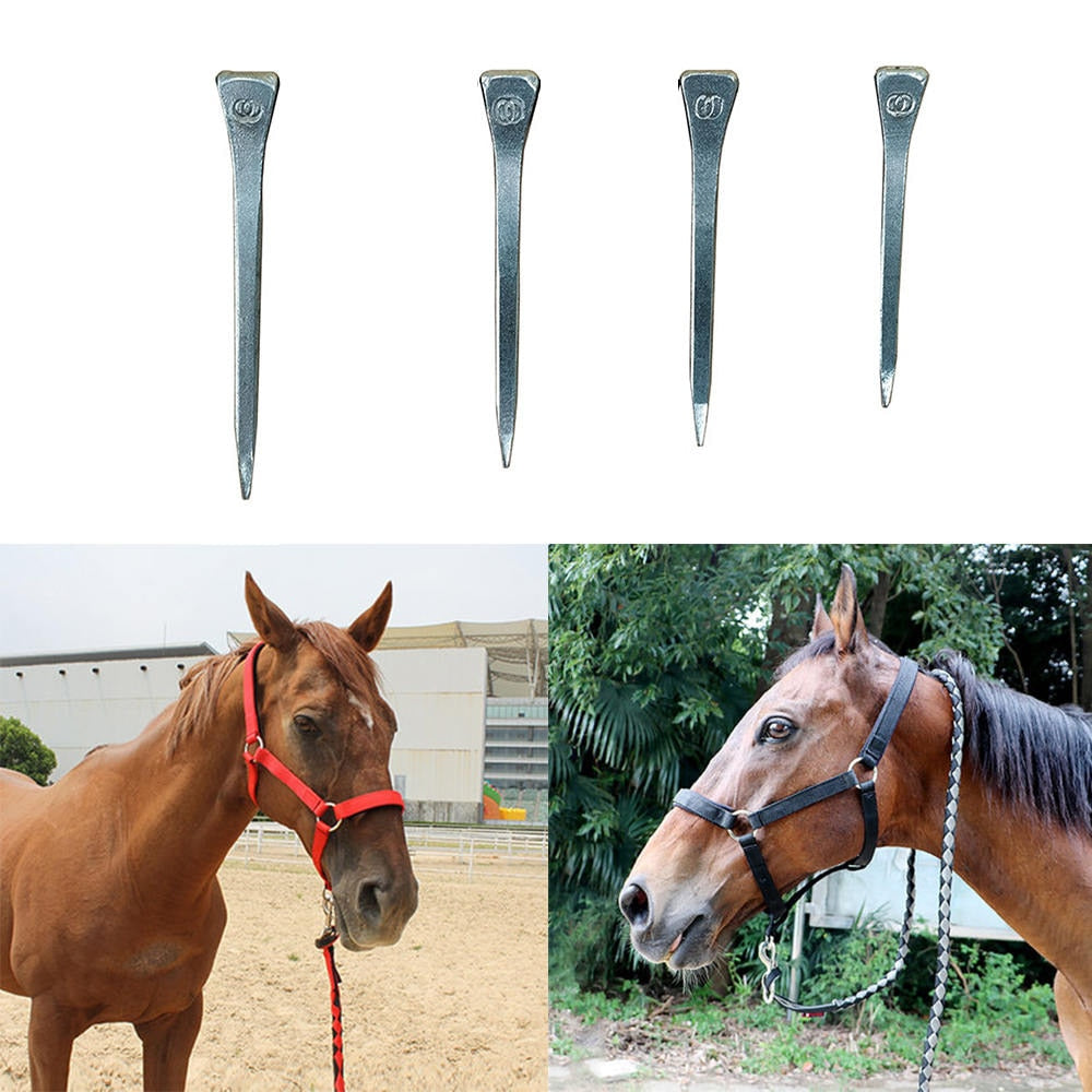 100pcs High Quality Horse shoe Nails E2 E4 E5 3 Sizes - KiwisLove