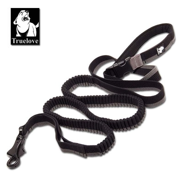 Truelove Dog Running Bungee Leash Hand-held Waistworn Adjustable - KiwisLove