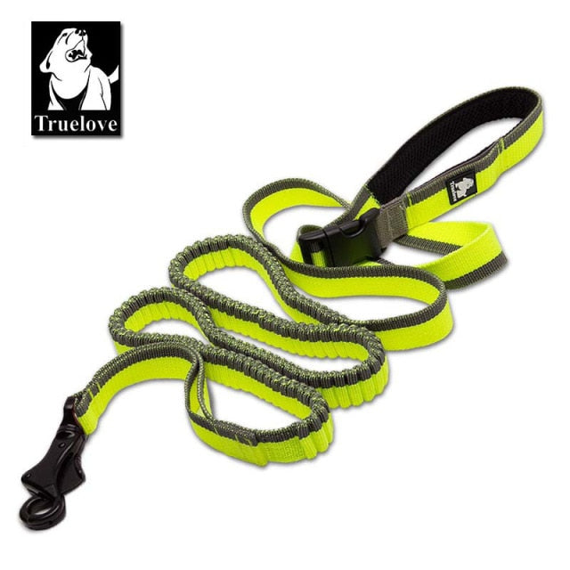 Truelove Dog Running Bungee Leash Hand-held Waistworn Adjustable - KiwisLove