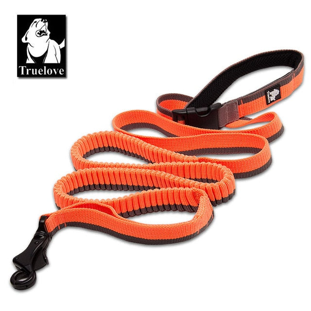 Truelove Dog Running Bungee Leash Hand-held Waistworn Adjustable - KiwisLove